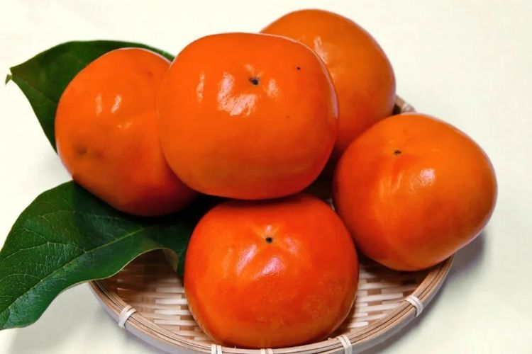 中日节气风物志丨你尝尝秋天的柿子，多甜