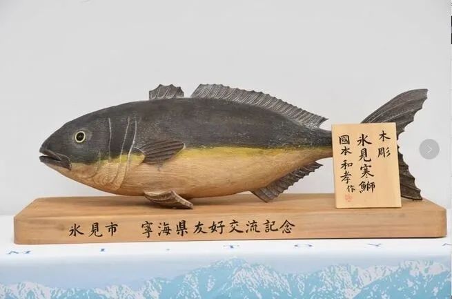 疫情下的中日地方交流：浙江省宁海县与富山县冰见市隔空握手