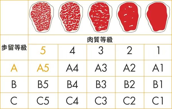 日本和牛解禁，你吃过的是真和牛吗？