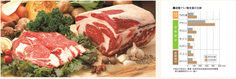 日本和牛解禁，你吃过的是真和牛吗？