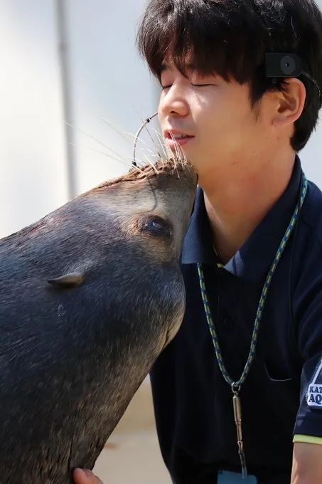 日本水族馆晒帅哥饲养员吸引游客，网友：我可以！