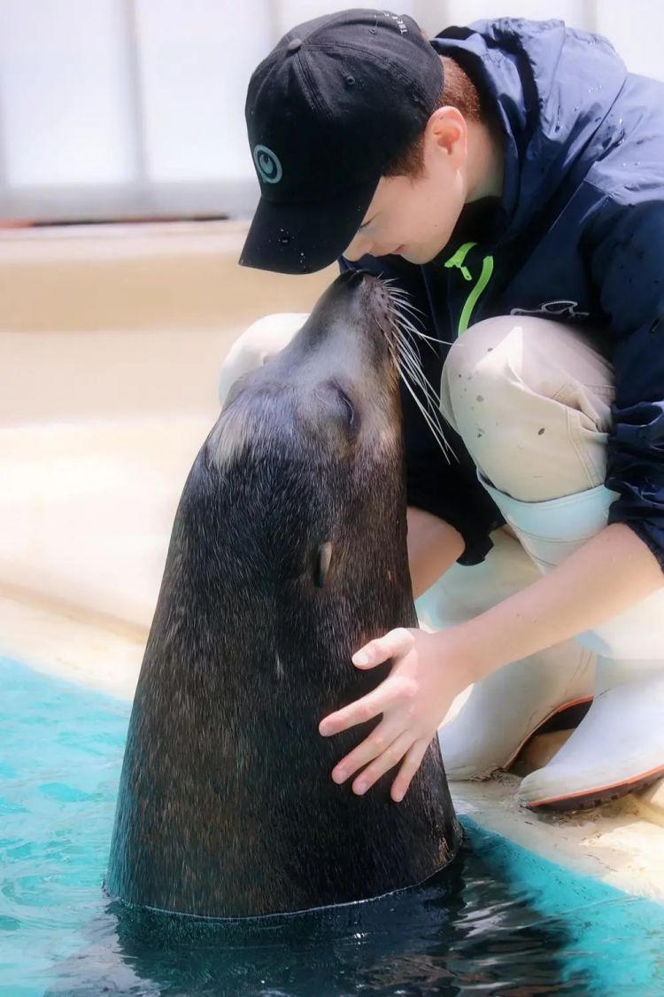 日本水族馆晒帅哥饲养员吸引游客，网友：我可以！