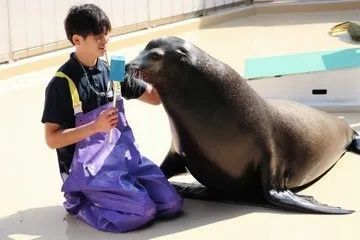 日本水族馆晒帅哥饲养员吸引游客，网友：我可以！