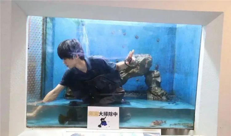 日本水族馆晒帅哥饲养员吸引游客，网友：我可以！