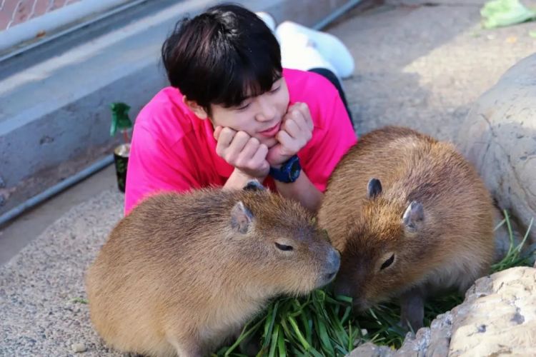 日本水族馆晒帅哥饲养员吸引游客，网友：我可以！