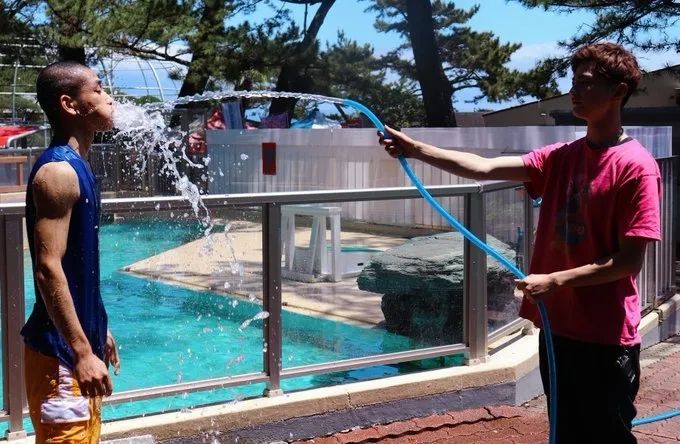 日本水族馆晒帅哥饲养员吸引游客，网友：我可以！