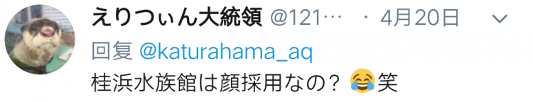 日本水族馆晒帅哥饲养员吸引游客，网友：我可以！