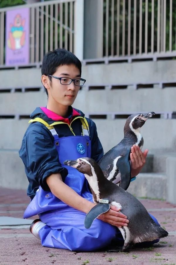 日本水族馆晒帅哥饲养员吸引游客，网友：我可以！