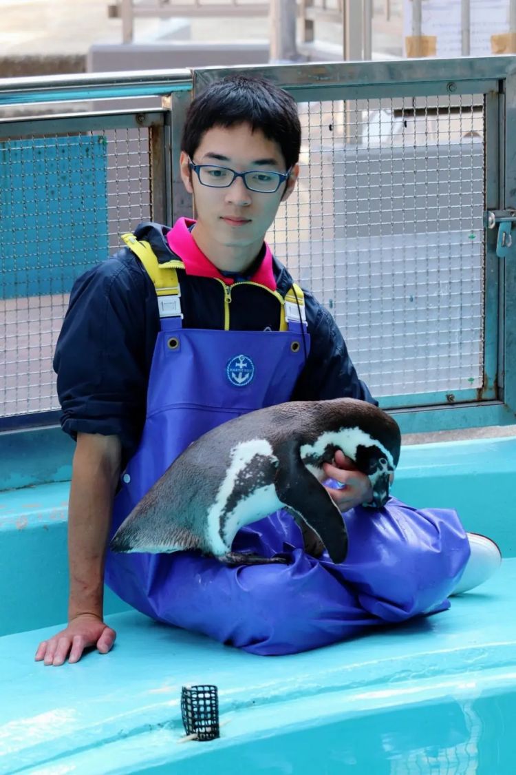 日本水族馆晒帅哥饲养员吸引游客，网友：我可以！