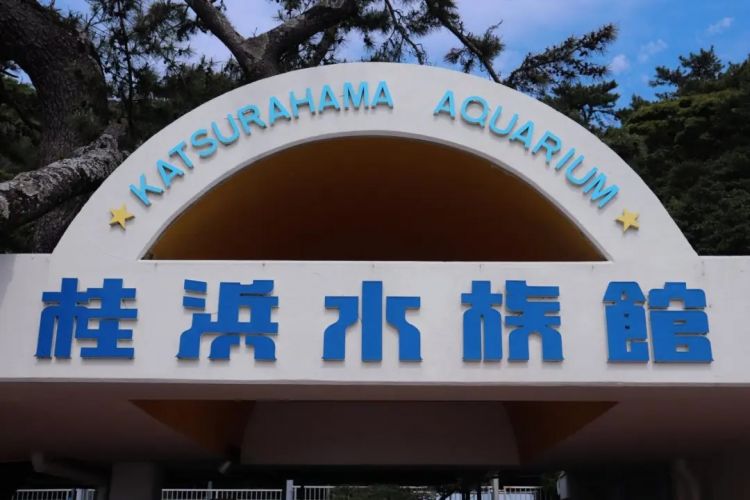 日本水族馆晒帅哥饲养员吸引游客，网友：我可以！