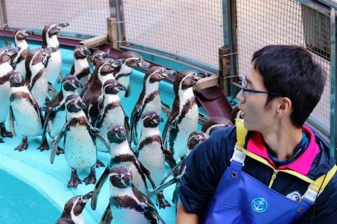 日本水族馆晒帅哥饲养员吸引游客，网友：我可以！
