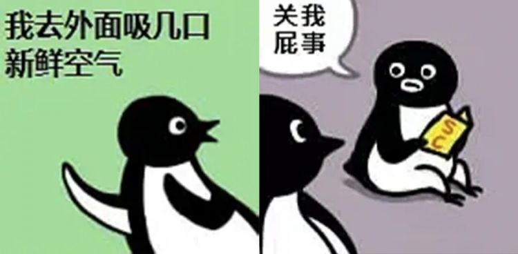火遍国内互联网的沙雕企鹅，竟是日本吉祥物