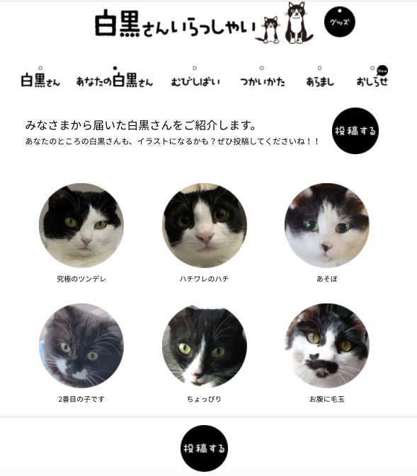 火遍国内互联网的沙雕企鹅，竟是日本吉祥物