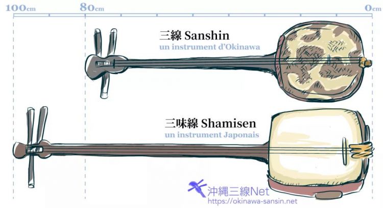 开遍世界的三弦之花