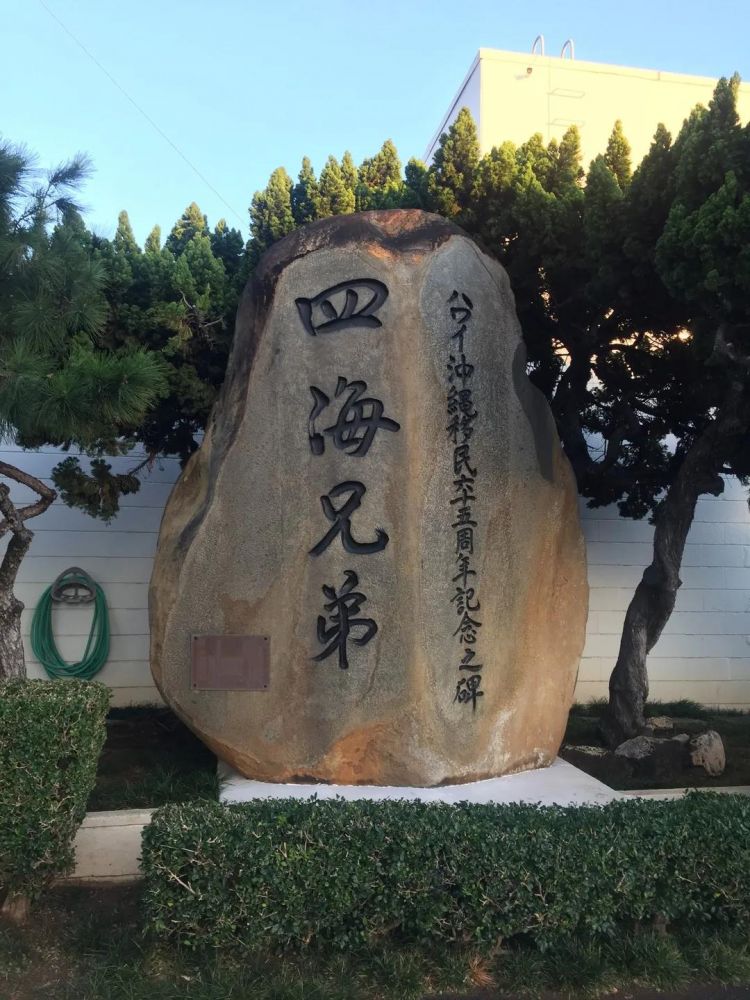 开遍世界的三弦之花