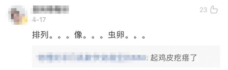 这碗饭的每粒米都被日本人叠得整整齐齐，我就想知道怎么下筷子