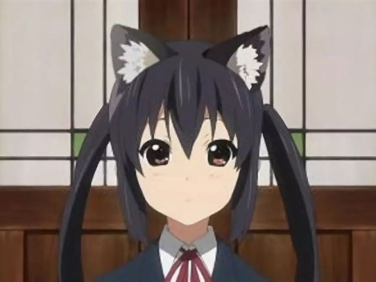 为什么日本人那么喜欢猫？