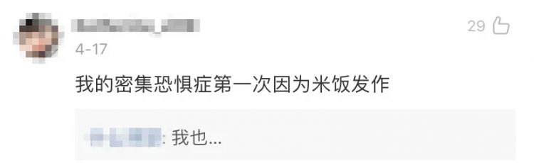 这碗饭的每粒米都被日本人叠得整整齐齐，我就想知道怎么下筷子