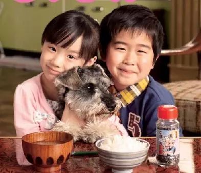 日本的小“ 戏精 ”们都从哪里来？