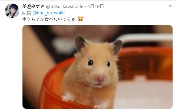 为什么日本人不会嗑瓜子？ 
