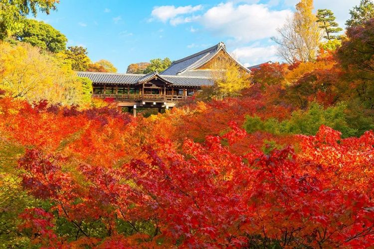 秋天来京都东福寺，看“他”玩石头游戏！