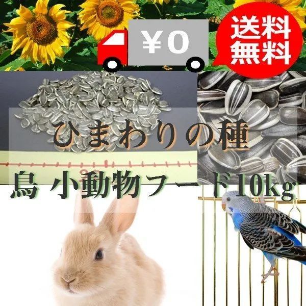 为什么日本人不会嗑瓜子？ 