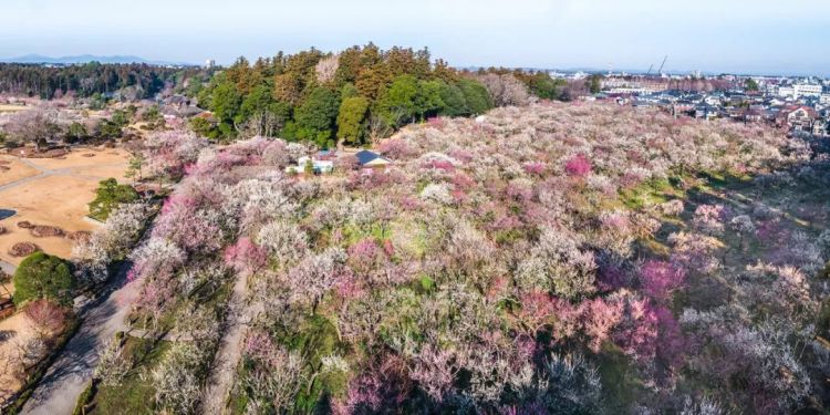 日本最没存在感的地方，有最醉人的故事和风景