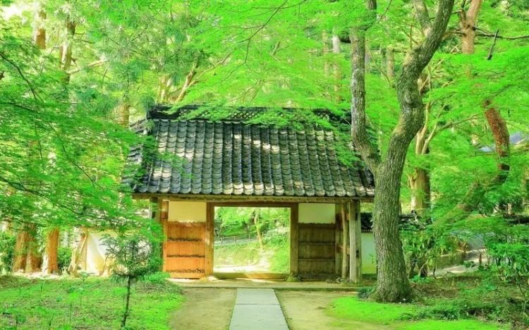 平泉,在这里追忆金色国度的黄粱一梦 平泉,在这里追忆金色国度的黄粱一梦