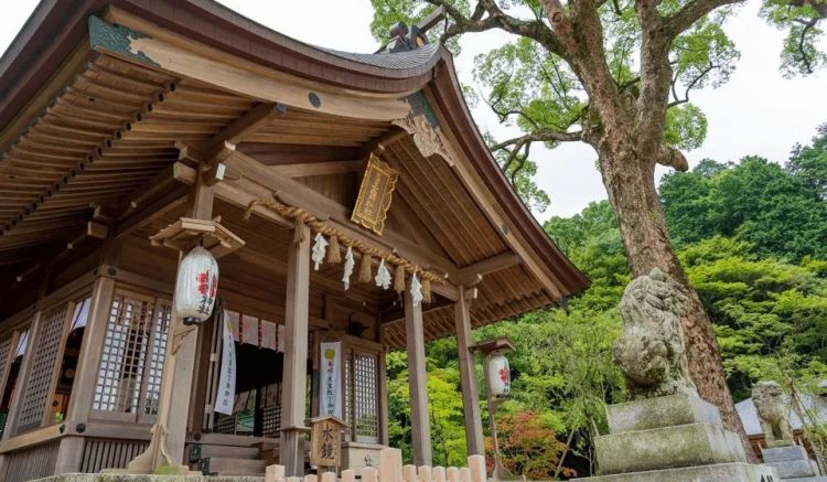 跟风《鬼灭之刃》，追踪日本的鬼