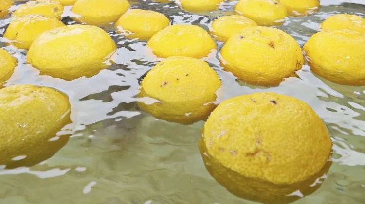 中日节气风物志 | 因为爱情，可以忍受不洗澡？