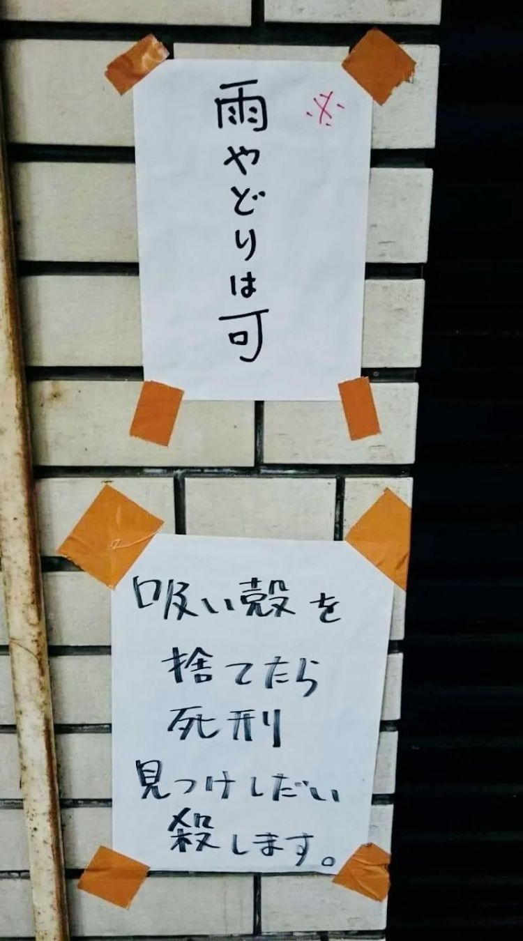 日本街头的偶遇，既有禅趣亦含杀机