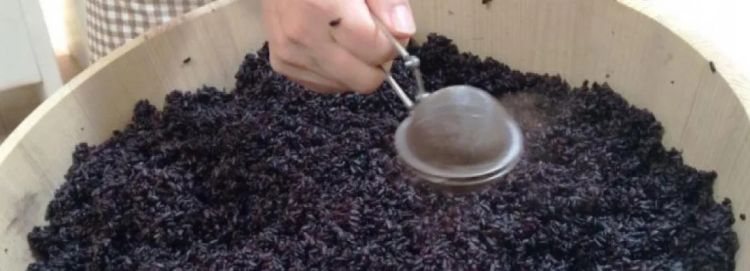 日本酒就是清酒？那你就错了