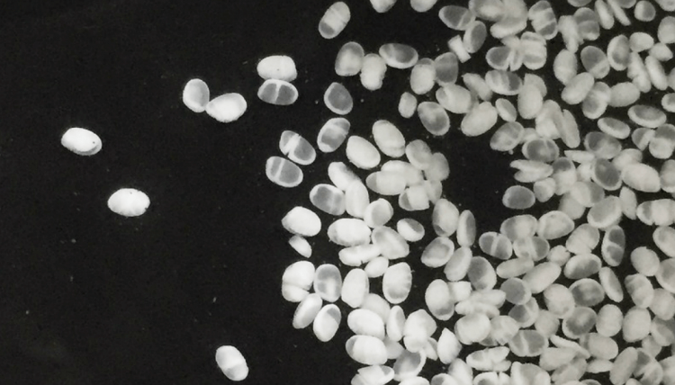 日本酒就是清酒？那你就错了