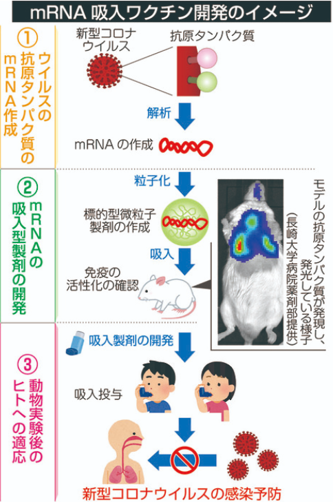 日本长崎大学研制吸入型新冠疫苗