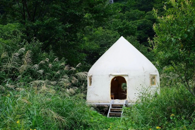 有了万能胶囊 日本人是不是就可以不用买房 日本通