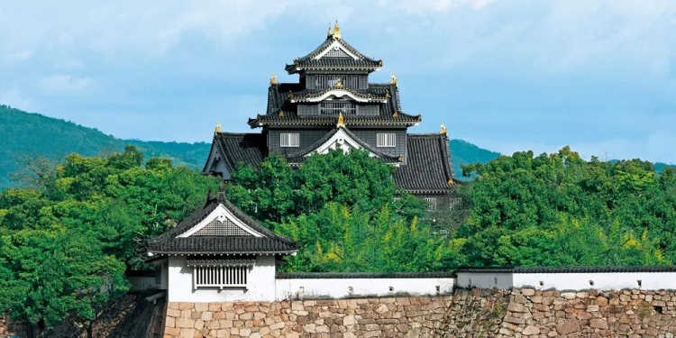 冈山城下，八丈岛上，战国儿女情