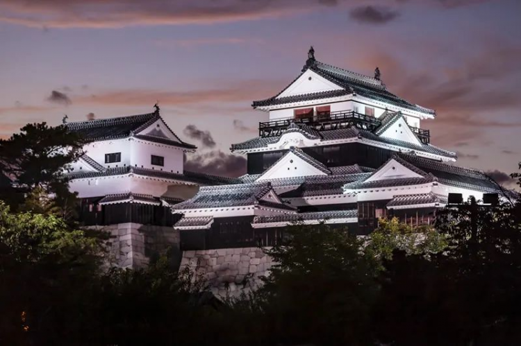 日本护士和俄国军官，一枚金币背后的旷世恋情