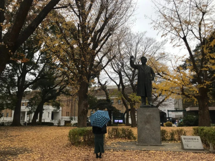 自由穿行于历史的国立科学博物馆