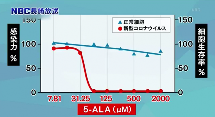 长崎大学发现5-氨基乙酰丙酸能有效阻断新冠病毒