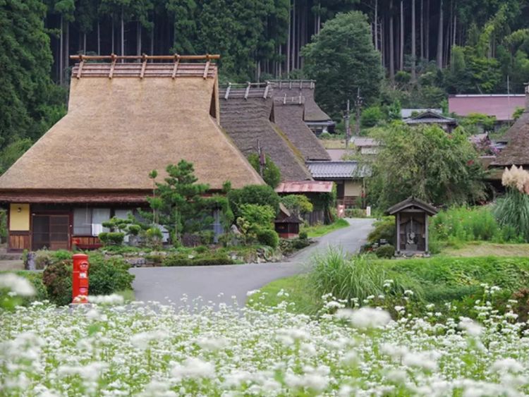 日本农村为什么美而不土？