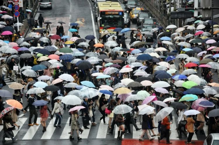 在日本动漫产业，“少年漫”为什么始终占领统治地位？