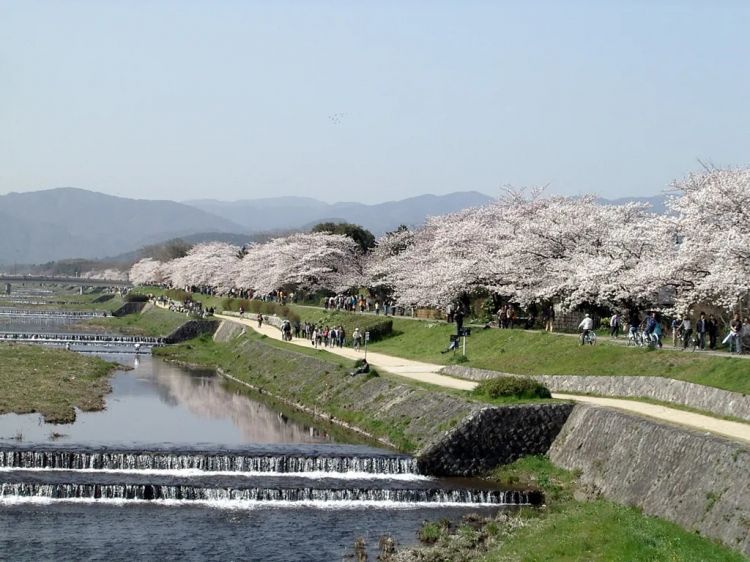 京都找房记