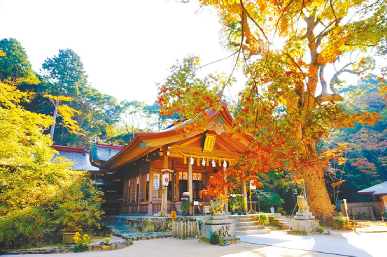 「虚拟旅游」在日本火了