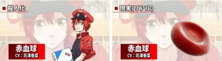 时隔14年，央视再播日本动画，为什么偏偏是这部？