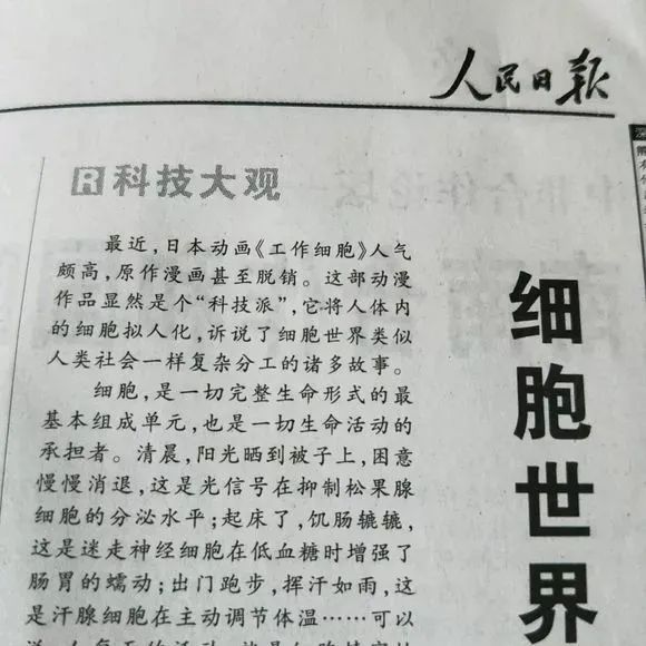 时隔14年，央视再播日本动画，为什么偏偏是这部？