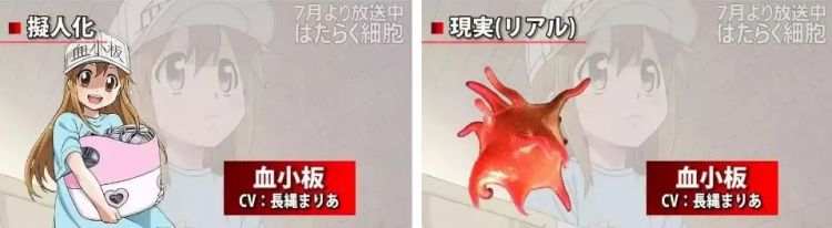 时隔14年，央视再播日本动画，为什么偏偏是这部？