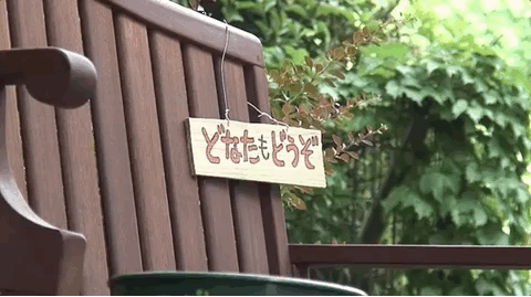 我的爸爸是宫崎骏