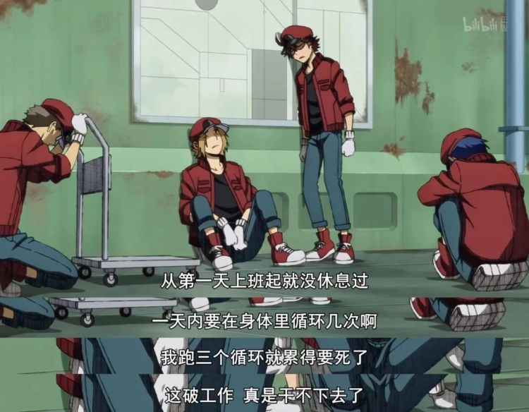 时隔14年，央视再播日本动画，为什么偏偏是这部？