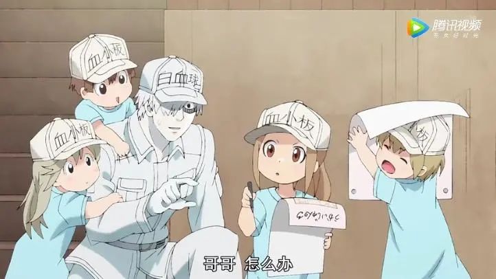 时隔14年，央视再播日本动画，为什么偏偏是这部？