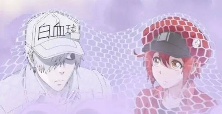 时隔14年，央视再播日本动画，为什么偏偏是这部？